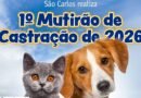 Prefeitura realiza 1º mutirão de castração de 2026