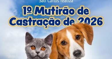 Prefeitura realiza 1º mutirão de castração de 2026