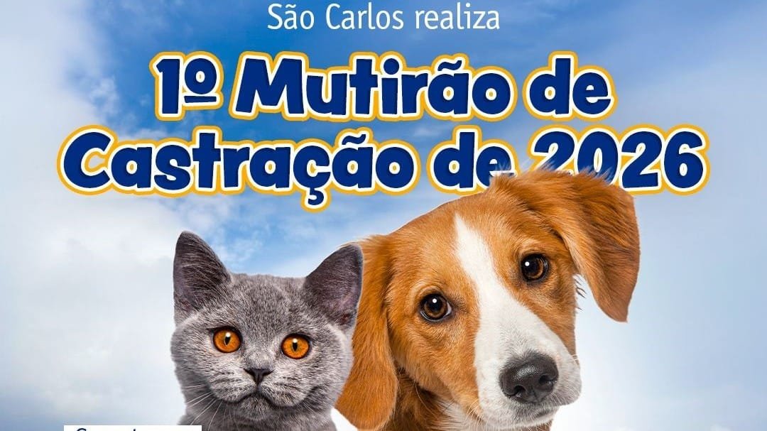 Prefeitura realiza 1º mutirão de castração de 2026