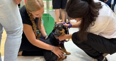 Shopping São Carlos promove 1º “Cão-curso” em celebração ao Dia Nacional dos Animais
