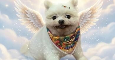 Homenagem a cachorrinha Sky – Funerais Pet