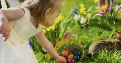 Parque Ecológico promove “caça aos ovos” com atividades educativas e recreativas