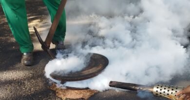 Prefeitura de Ibaté realizou dedetização em toda a cidade para combater pragas urbanas