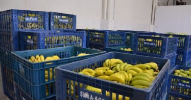 São Carlos investe mais de R$ 4 milhões na agricultura familiar