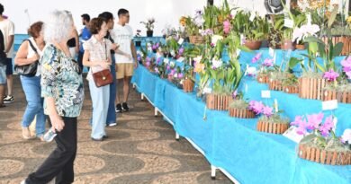61ª exposição nacional de orquídeas acontece nos dias 24, 25 E 26 DE ABRIL