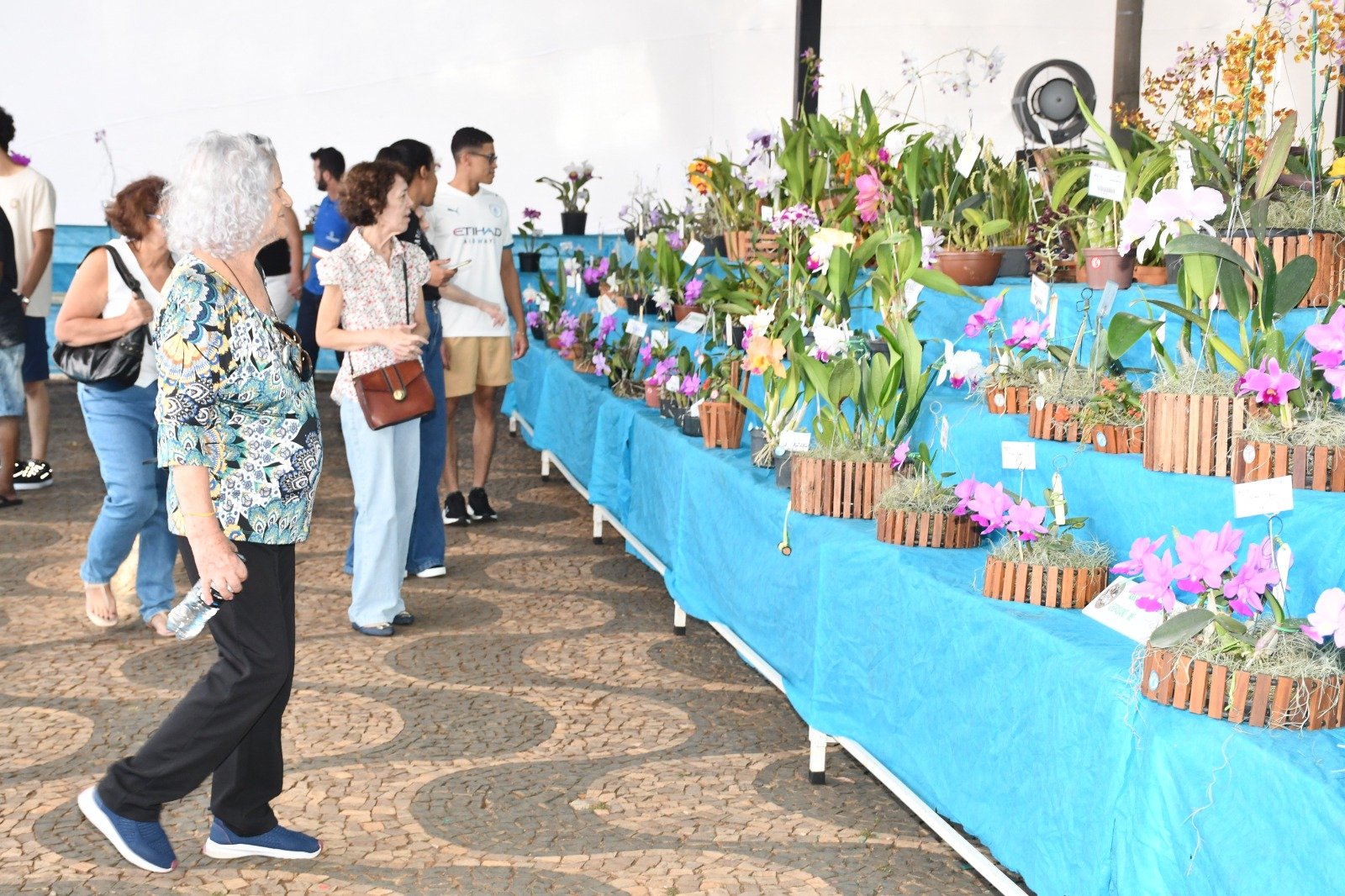 61ª exposição nacional de orquídeas acontece nos dias 24, 25 E 26 DE ABRIL