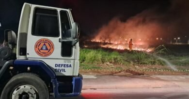 Incêndio em vegetação mobiliza Defesa Civil durante a madrugada em Ibaté