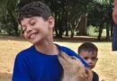 Feira de adoção garante novos lares para seis animais em São Carlos