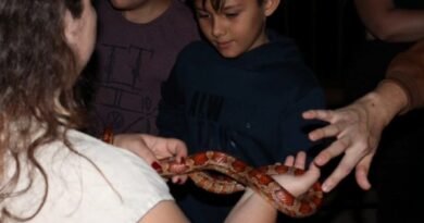Parque Ecológico abre inscrições para passeio noturno junino