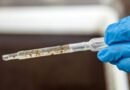 Secretaria de saúde intensifica ações para implantação de tecnologia que reduz transmissão da dengue e outras arboviroses