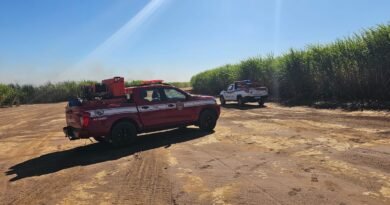 Defesa Civil de Ibaté atua no combate a incêndio em canavial Defesa Civil de Ibaté atua no combate a incêndio em canavial