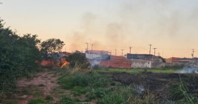 Defesa Civil de Ibaté combate incêndio de grandes proporções em área de vegetação Defesa Civil de Ibaté combate incêndio de grandes proporções em área de vegetação