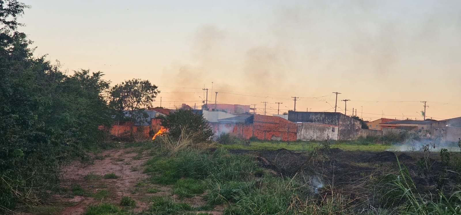 Defesa Civil de Ibaté combate incêndio de grandes proporções em área de vegetação