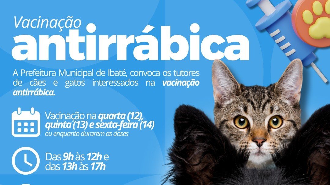 Prefeitura de Ibaté realiza vacinação antirrábica para cães e gatos nesta semana