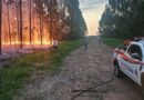 Defesa Civil atende dois incêndios em áreas de vegetação em Ibaté nesta segunda-feira