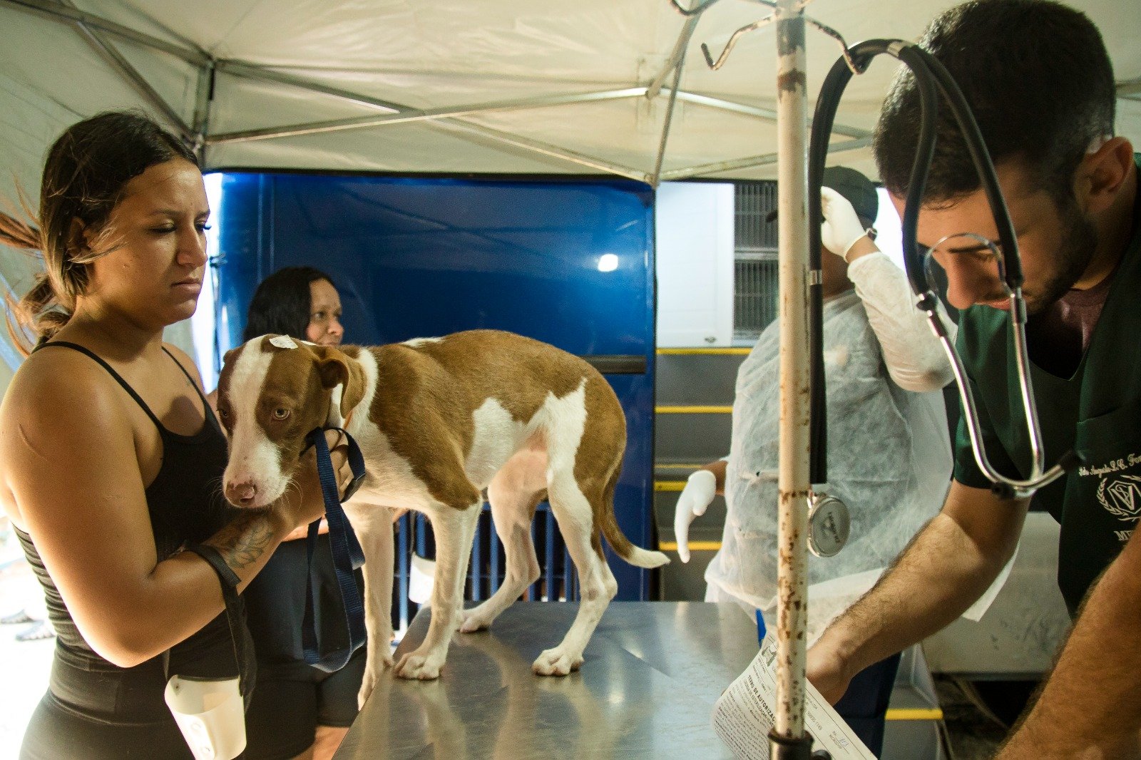 Defesa animal realiza agendamento para mutirão de castração em Santa Eudóxia