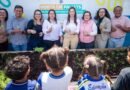 Horta em pallets amplia educação ambiental no CEMEI Dário Rodrigues