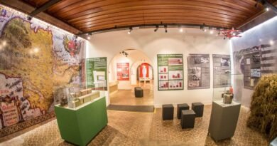 20° primavera dos museus tem programação especial no museu de São Carlos