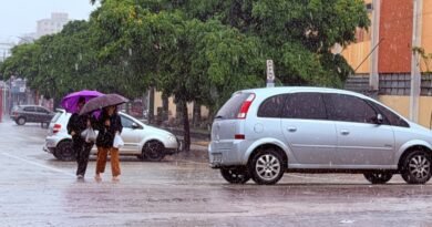 El Niño: Previsão de mais chuva e calor pode favorecer a proliferação do Aedes Aegypti El Niño: Previsão de mais chuva e calor pode favorecer a proliferação do Aedes Aegypti