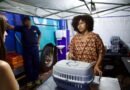 São Carlos realizará mutirão de castração no bairro Santa Angelina neste sábado e domingo